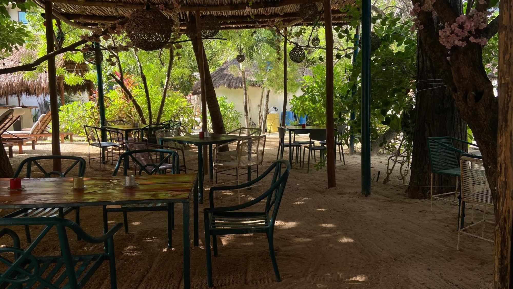 Nature Stay (Adults Only) Плайя-дель-Кармен Екстер'єр фото