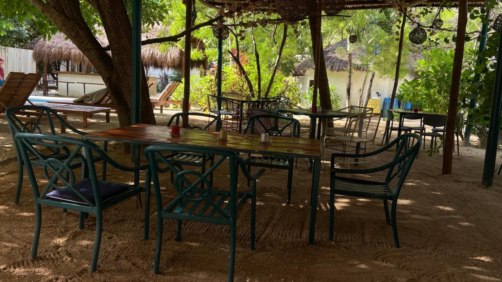 Nature Stay (Adults Only) Плайя-дель-Кармен Екстер'єр фото