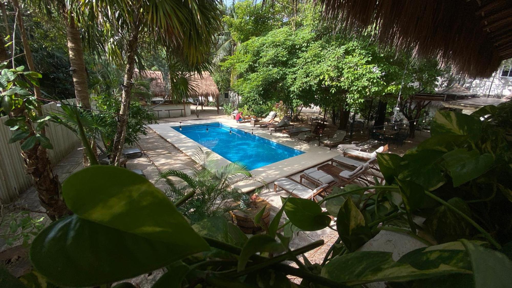 Nature Stay (Adults Only) Плайя-дель-Кармен Екстер'єр фото