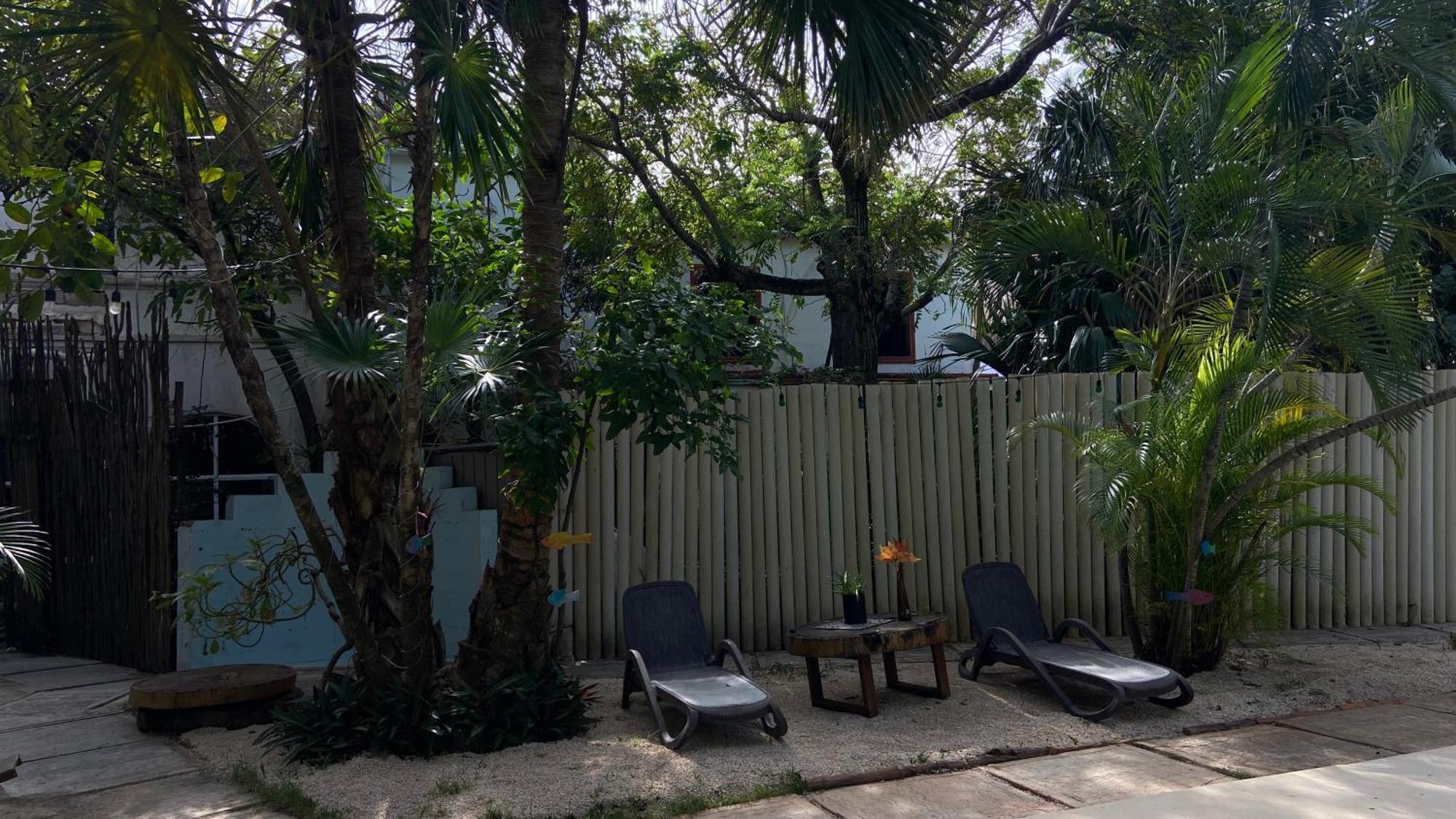Nature Stay (Adults Only) Плайя-дель-Кармен Екстер'єр фото