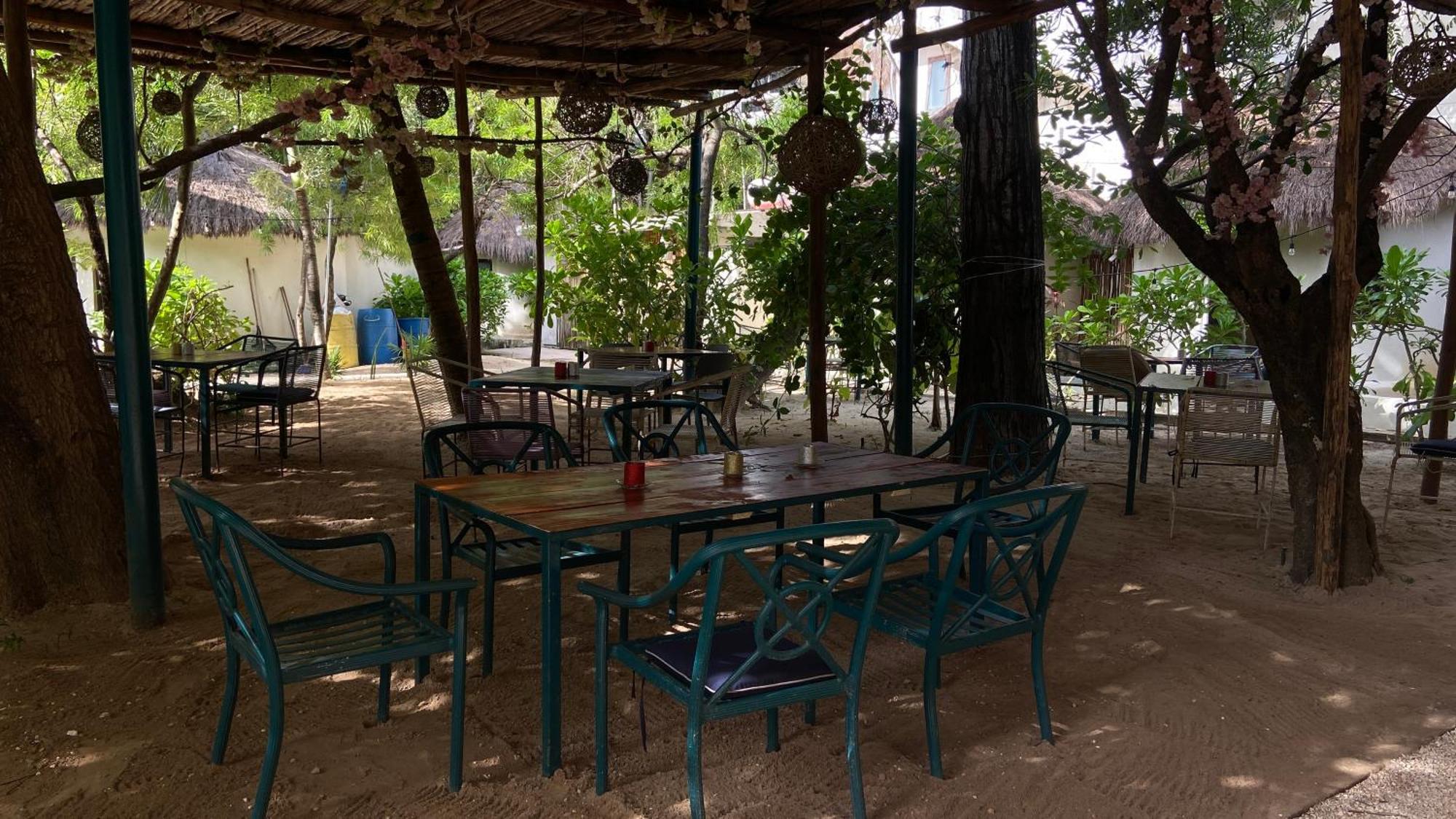 Nature Stay (Adults Only) Плайя-дель-Кармен Екстер'єр фото