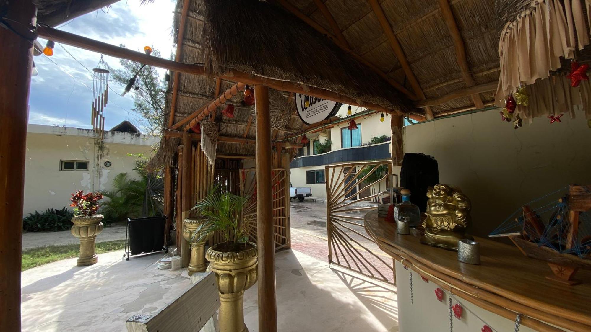 Nature Stay (Adults Only) Плайя-дель-Кармен Екстер'єр фото